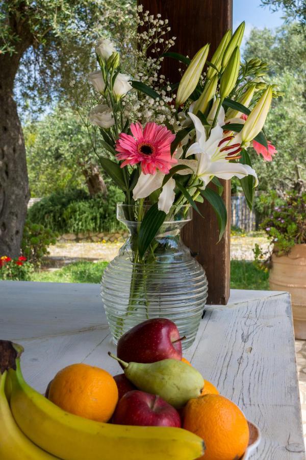 Villa Elaia Suites & Apartments No.3 Gaios Buitenkant foto