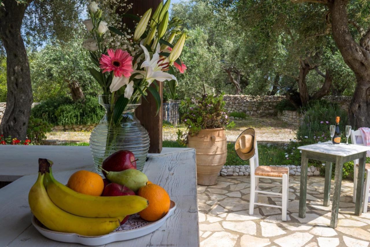 Villa Elaia Suites & Apartments No.3 Gaios Buitenkant foto